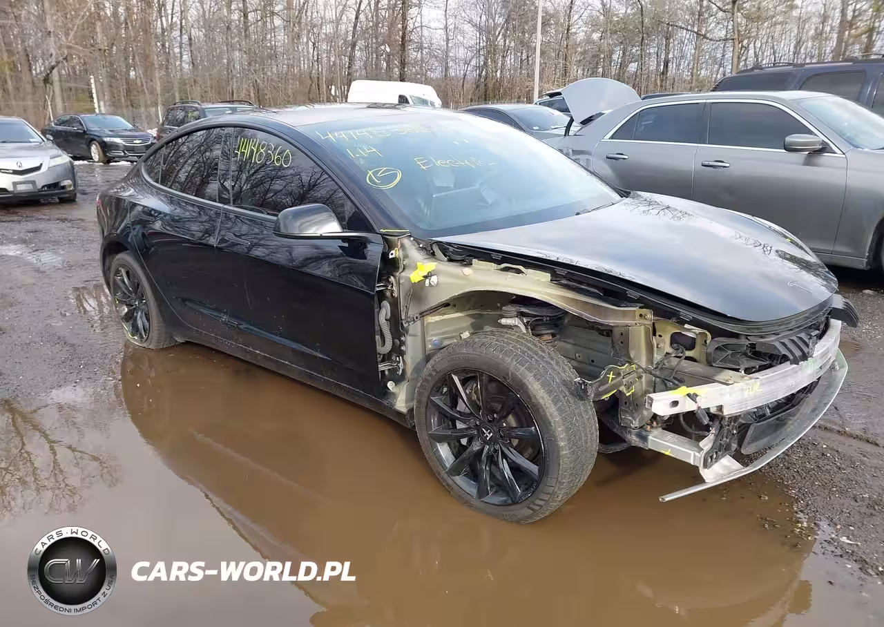 2019 Tesla Model 3 Long Range-Mid Range-Standard Range-Standard Range Plus