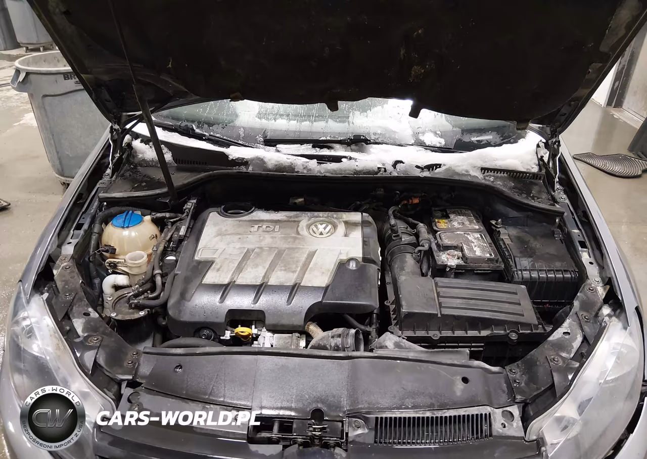 2014 Volkswagen Golf 2.0L Tdi VIN:WVWNM7AJ4EW008813 - 10