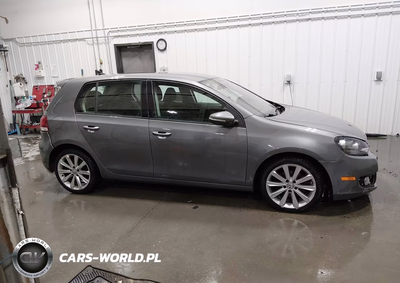 2014 Volkswagen Golf 2.0L Tdi VIN:WVWNM7AJ4EW008813 - 13