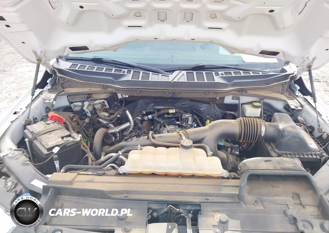 2021 Ford F-150 Xl VIN:1FTEX1EP6MKE97224 - 10