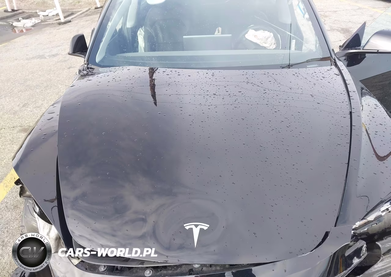 2024 Tesla Model 3 Long Range Dual Motor All-Wheel Drive-Rear-Wheel Drive VIN:5YJ3E1EA4RF731325 - 10