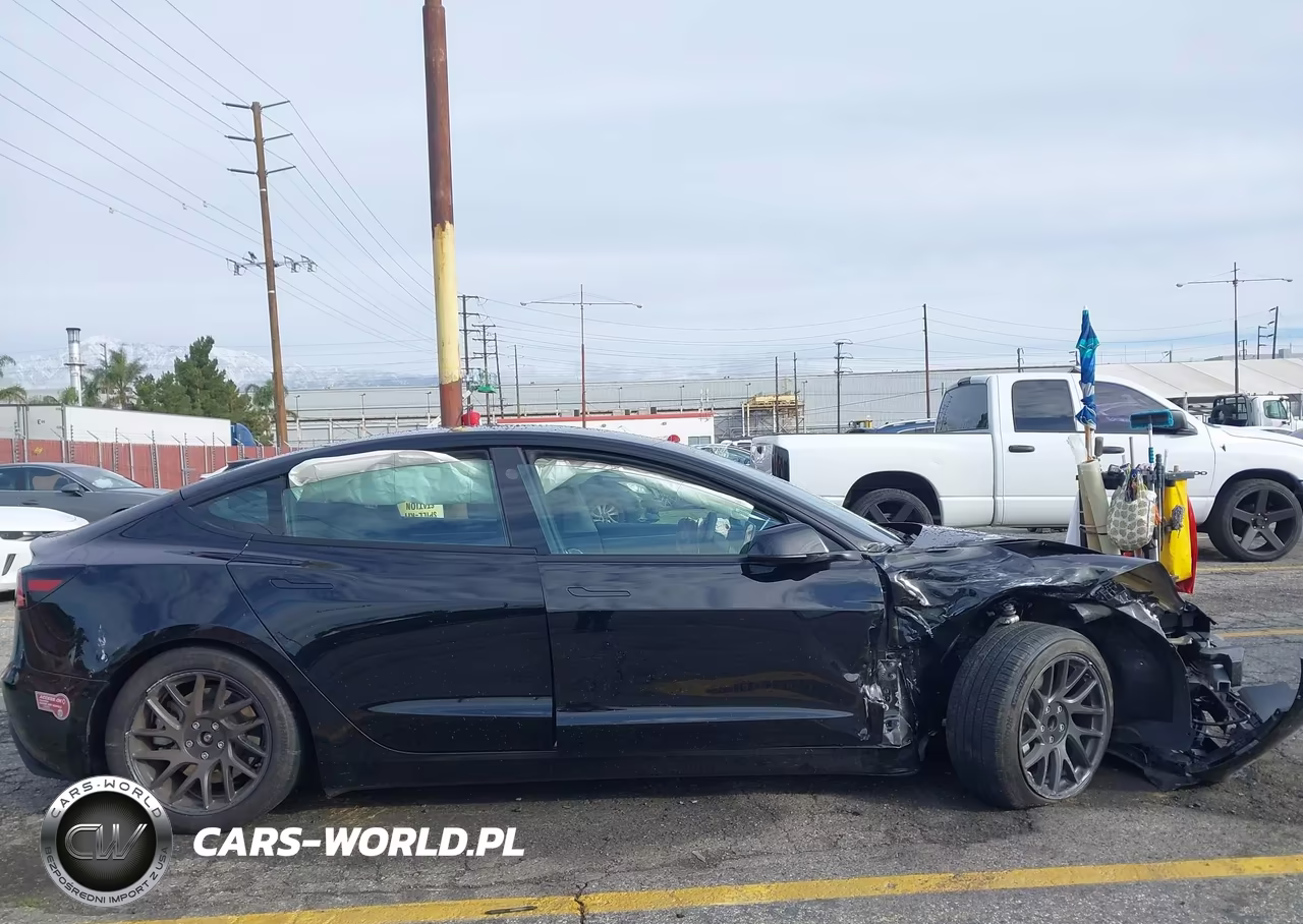 2024 Tesla Model 3 Long Range Dual Motor All-Wheel Drive-Rear-Wheel Drive VIN:5YJ3E1EA4RF731325 - 13