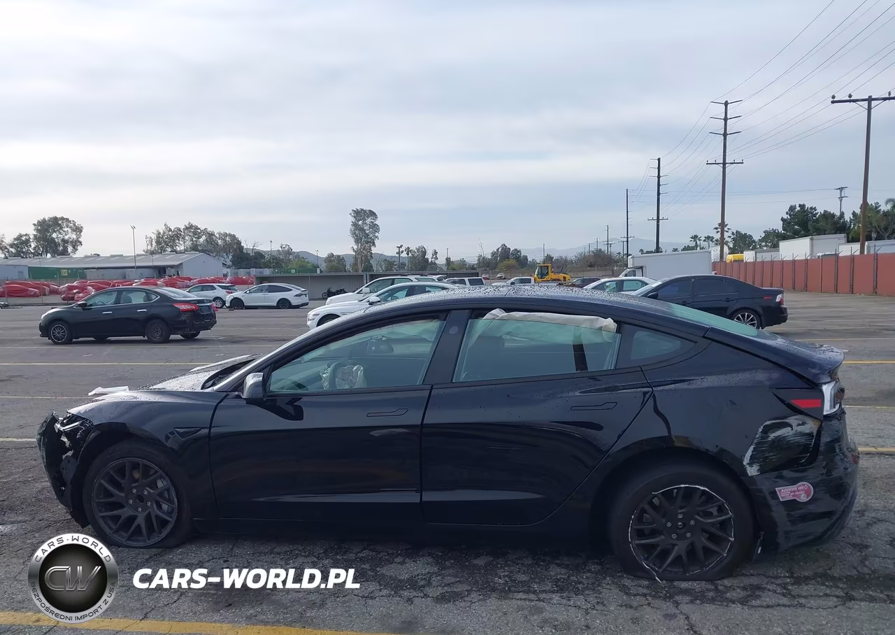 2024 Tesla Model 3 Long Range Dual Motor All-Wheel Drive-Rear-Wheel Drive VIN:5YJ3E1EA4RF731325 - 14