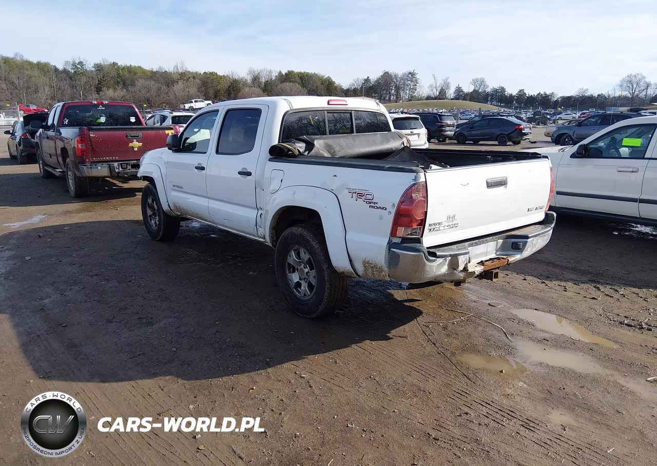 2006 Toyota Tacoma Base V6 VIN:5TELU42N96Z157584 - 3