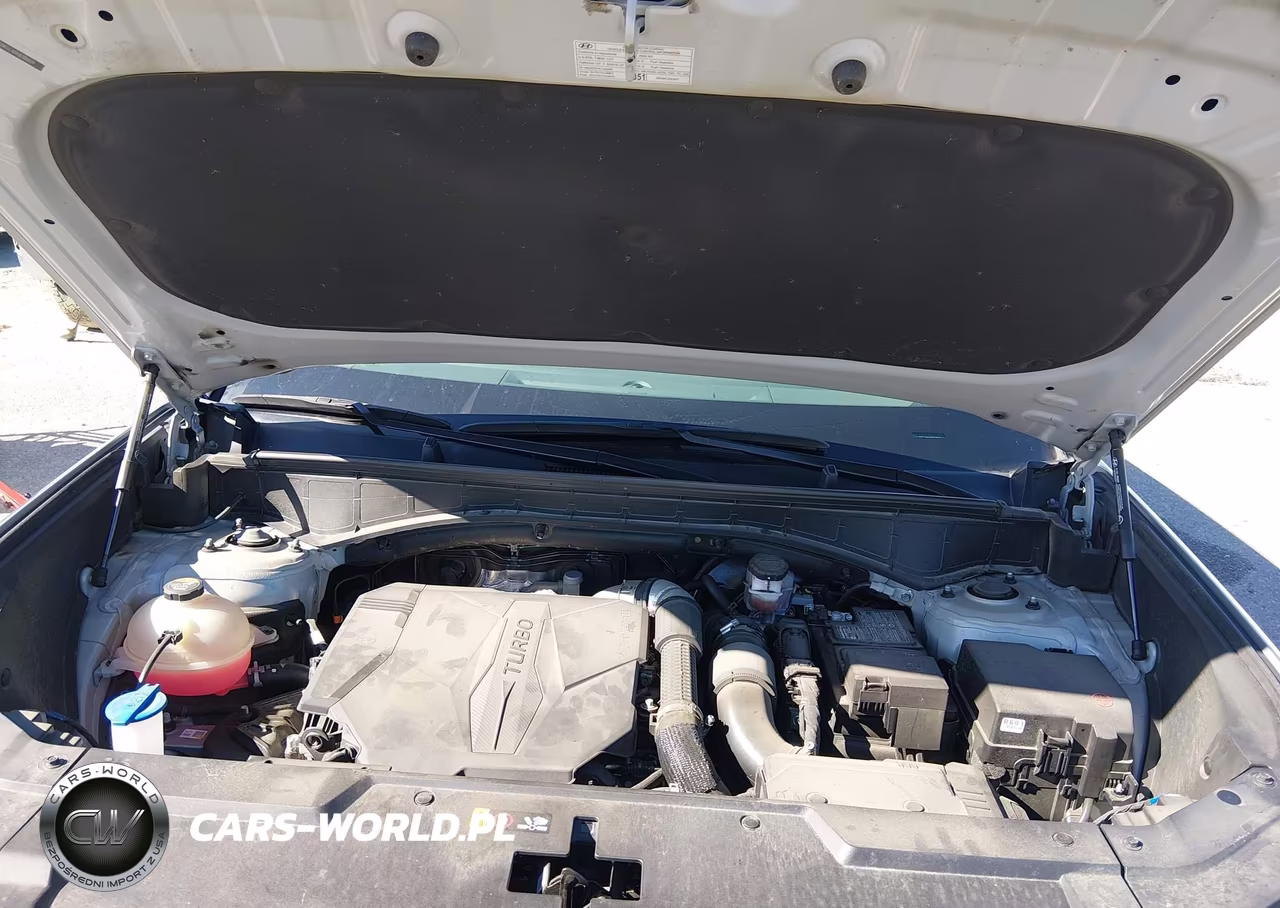 2024 Hyundai Santa Fe Sel VIN:5NMP24GL4RH038859 - 10