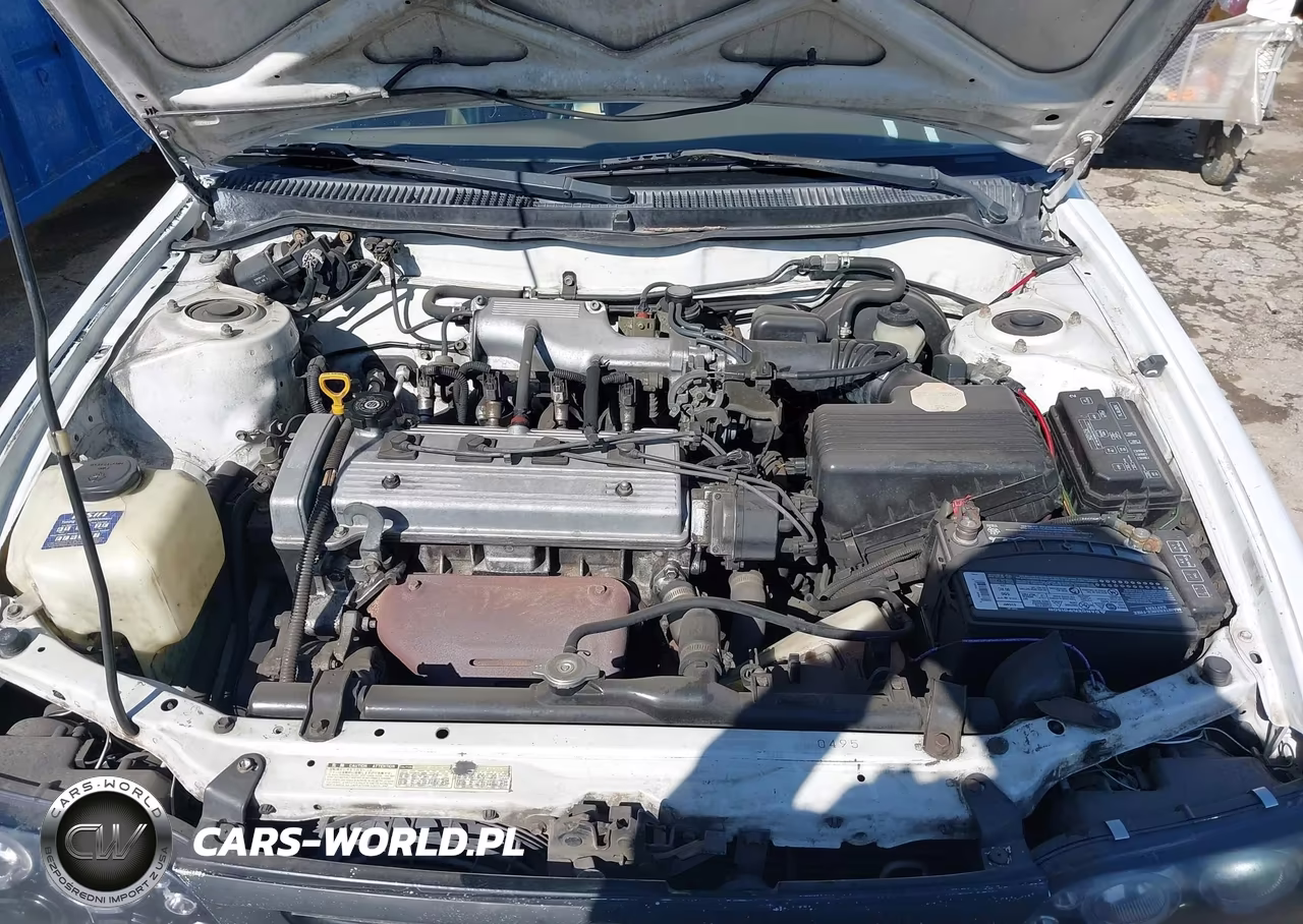 1996 Toyota Corolla Dx VIN:1NXBB02E1TZ397156 - 10