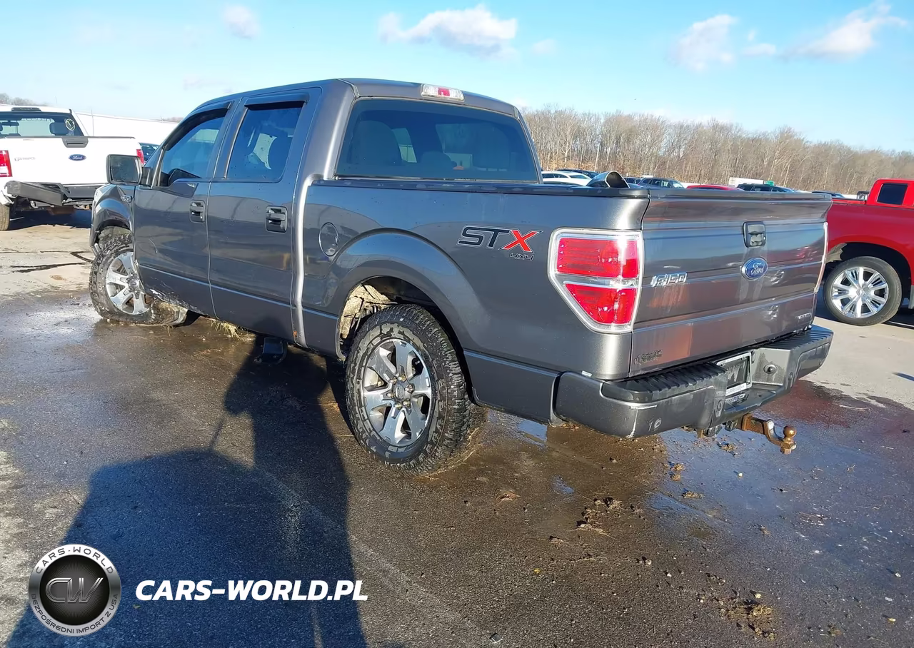 2014 Ford F-150 Stx VIN:1FTFW1EF4EKF44850 - 3