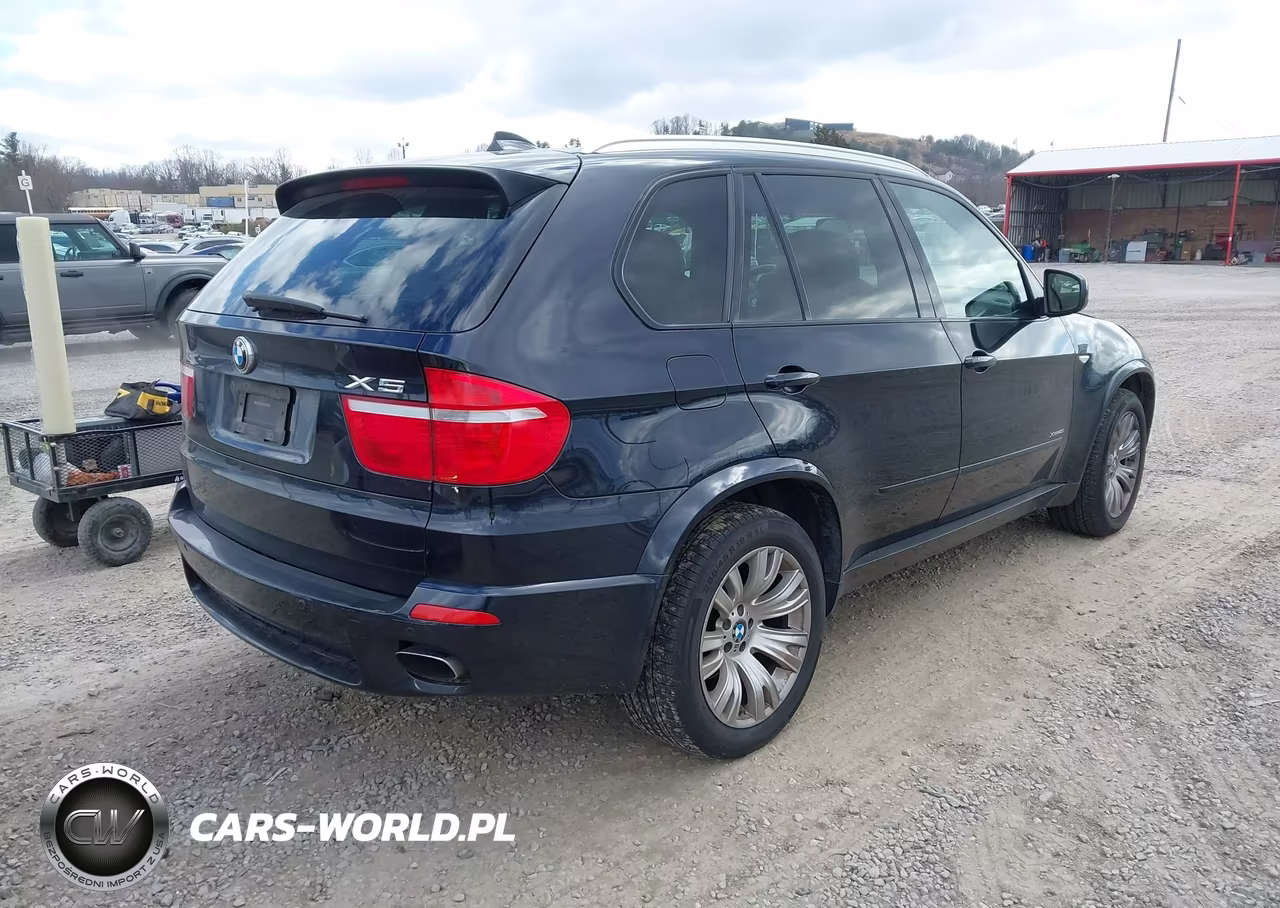 2010 BMW X5 xDrive48I VIN:5UXFE8C53AL311437 - 4