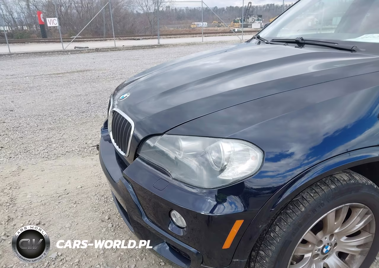 2010 BMW X5 xDrive48I VIN:5UXFE8C53AL311437 - 6