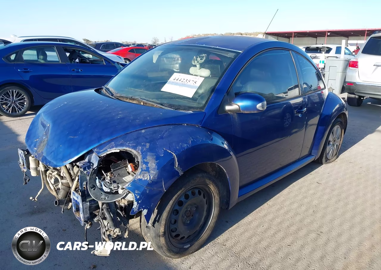 2008 Volkswagen New Beetle S VIN:3VWPG31C18M503238 - 2