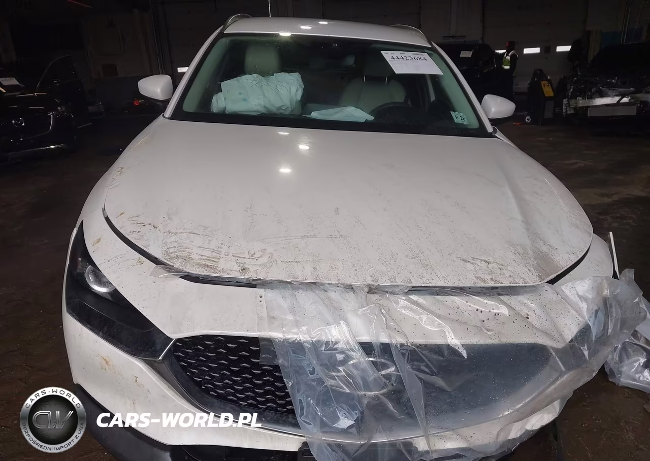 2023 Mazda Cx-30 2.5 S Preferred VIN:3MVDMBCM8PM555879 - 12