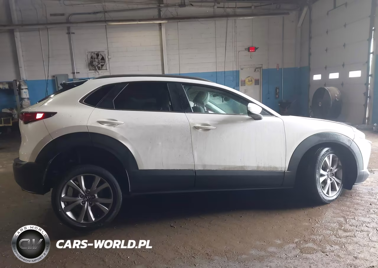 2023 Mazda Cx-30 2.5 S Preferred VIN:3MVDMBCM8PM555879 - 13