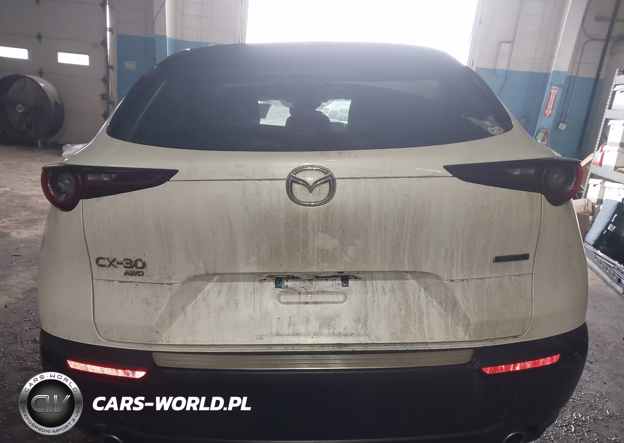 2023 Mazda Cx-30 2.5 S Preferred VIN:3MVDMBCM8PM555879 - 16