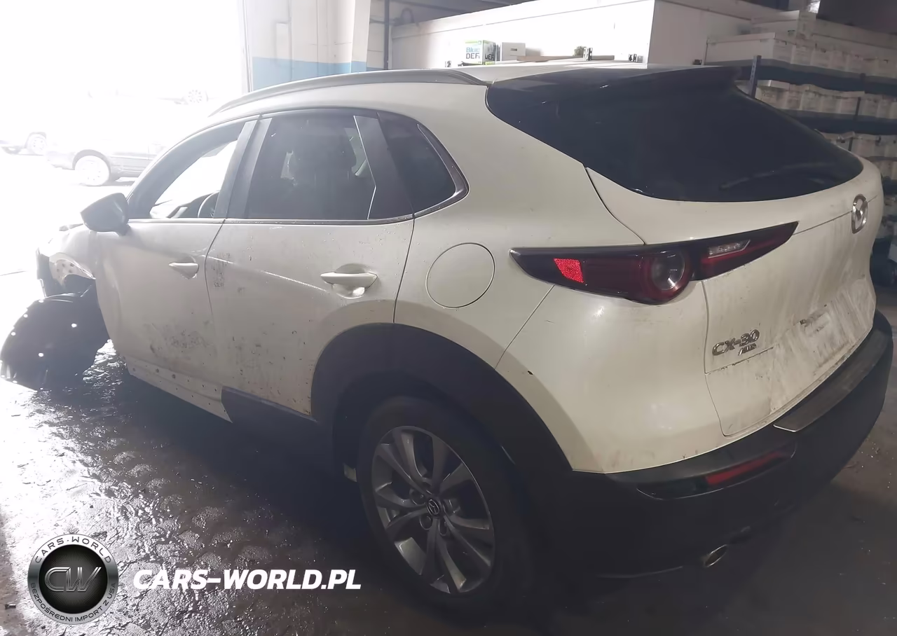 2023 Mazda Cx-30 2.5 S Preferred VIN:3MVDMBCM8PM555879 - 3