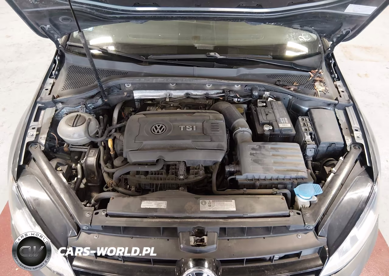 2015 Volkswagen Golf Tsi Se 4-Door VIN:3VW217AU5FM041887 - 10