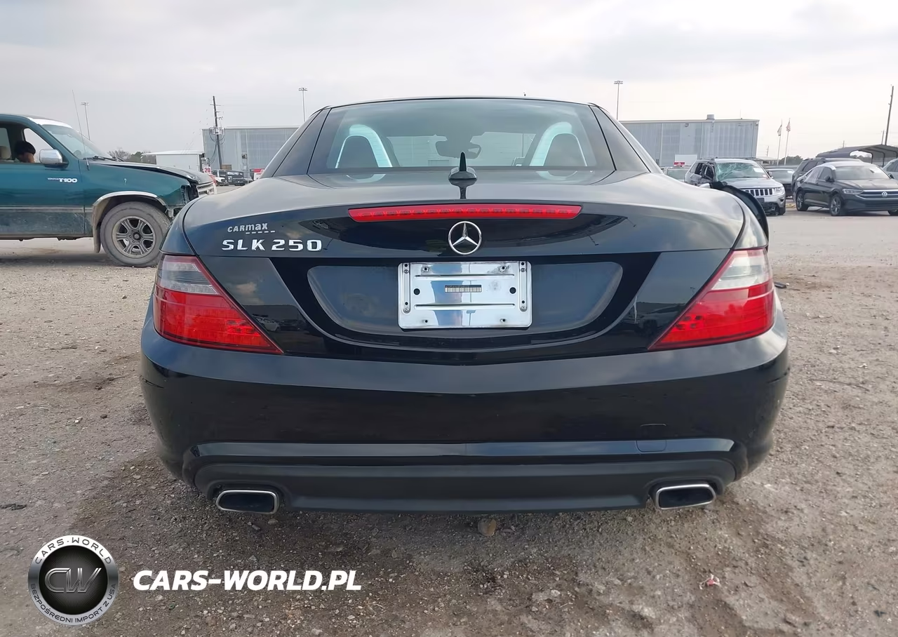 2014 Mercedes-Benz Slk 250 VIN:WDDPK4HAXEF080172 - 17