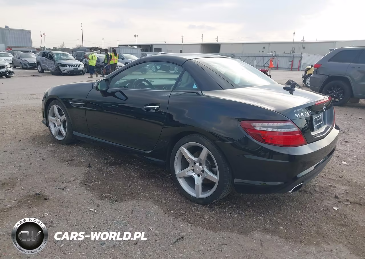 2014 Mercedes-Benz Slk 250 VIN:WDDPK4HAXEF080172 - 3