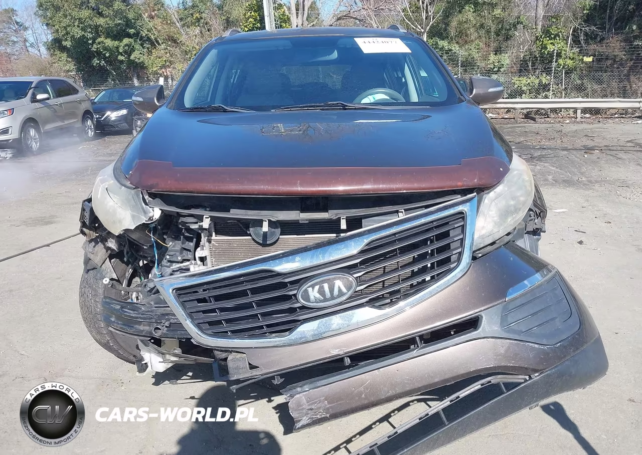2012 Kia Sportage Lx VIN:KNDPB3A28C7222341 - 12