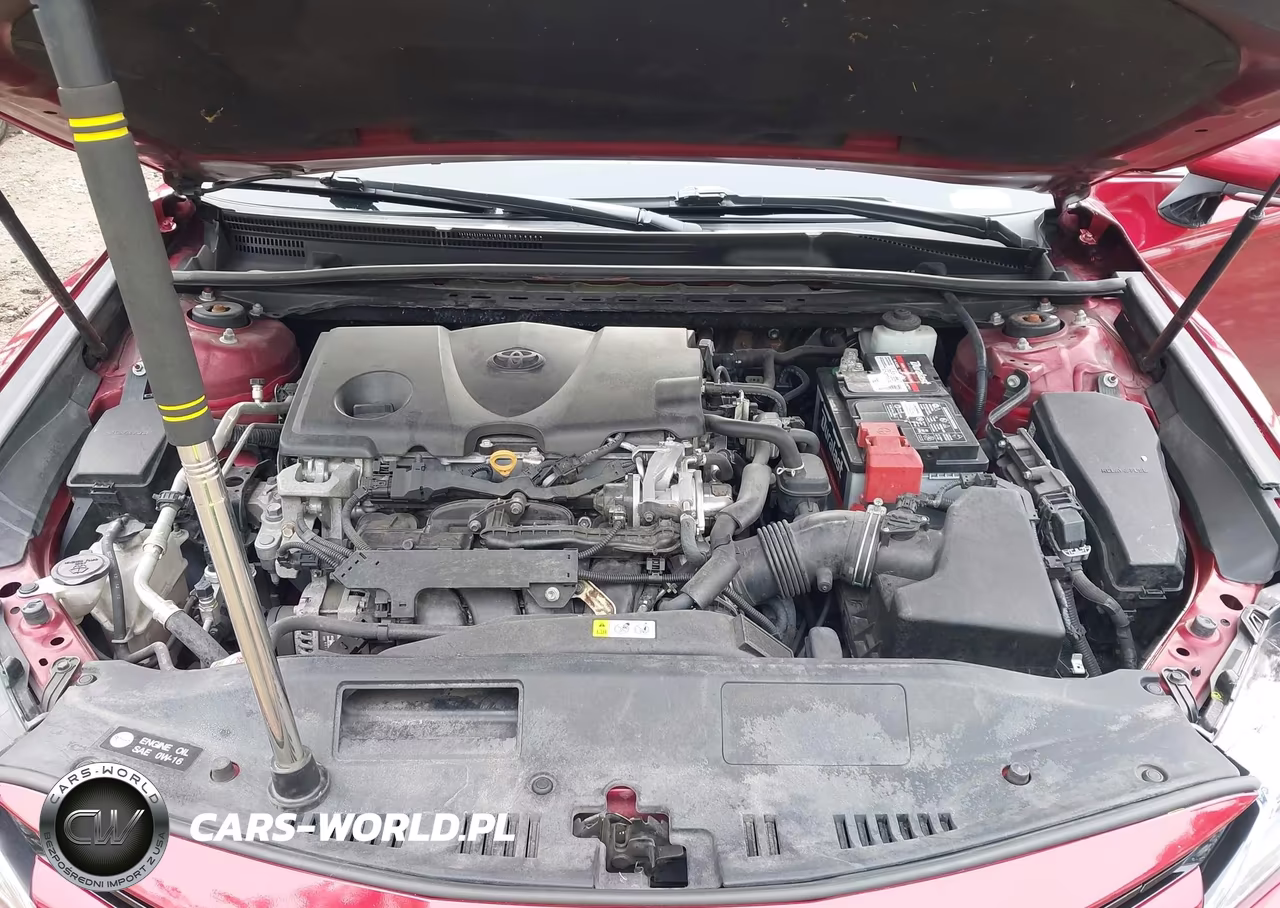 2019 Toyota Camry Xle VIN:4T1B11HKXKU824421 - 10