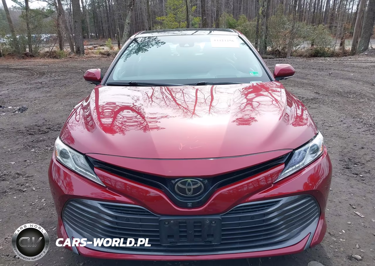 2019 Toyota Camry Xle VIN:4T1B11HKXKU824421 - 12