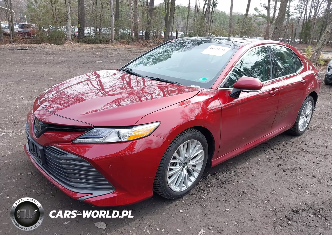 2019 Toyota Camry Xle VIN:4T1B11HKXKU824421 - 2