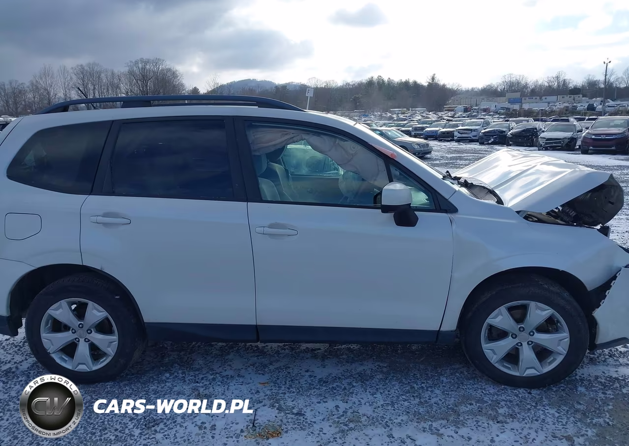 2015 Subaru Forester 2.5I Premium VIN:JF2SJADC2FH496351 - 13