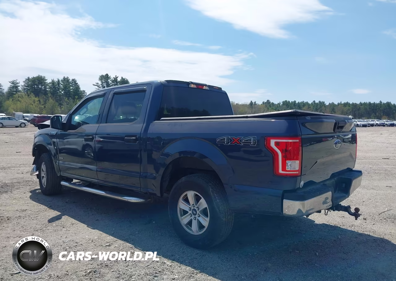 2016 Ford F-150 Xlt VIN:1FTEW1EP0GFB39648 - 3