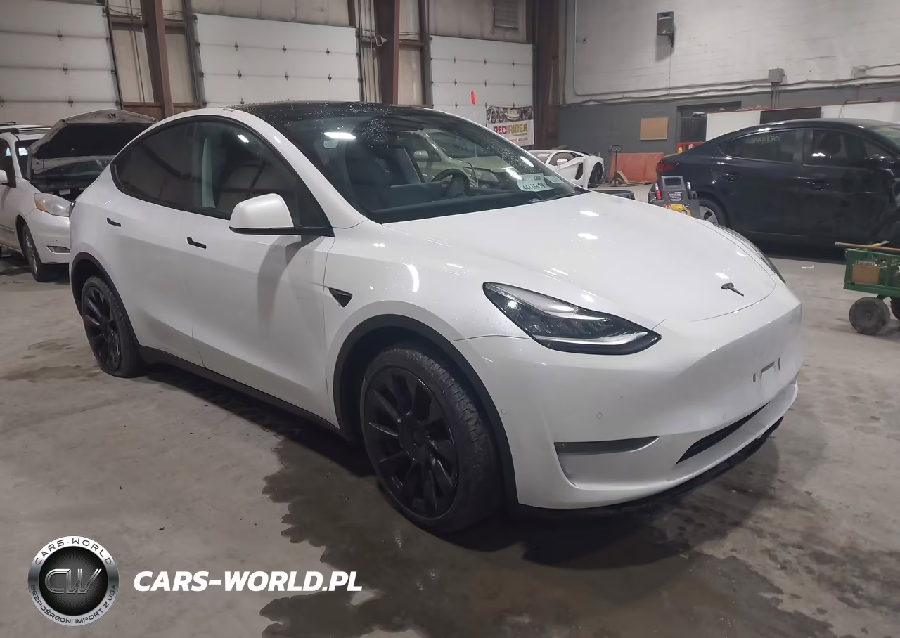 2020 Tesla Model Y Long Range Dual Motor All-Wheel Drive