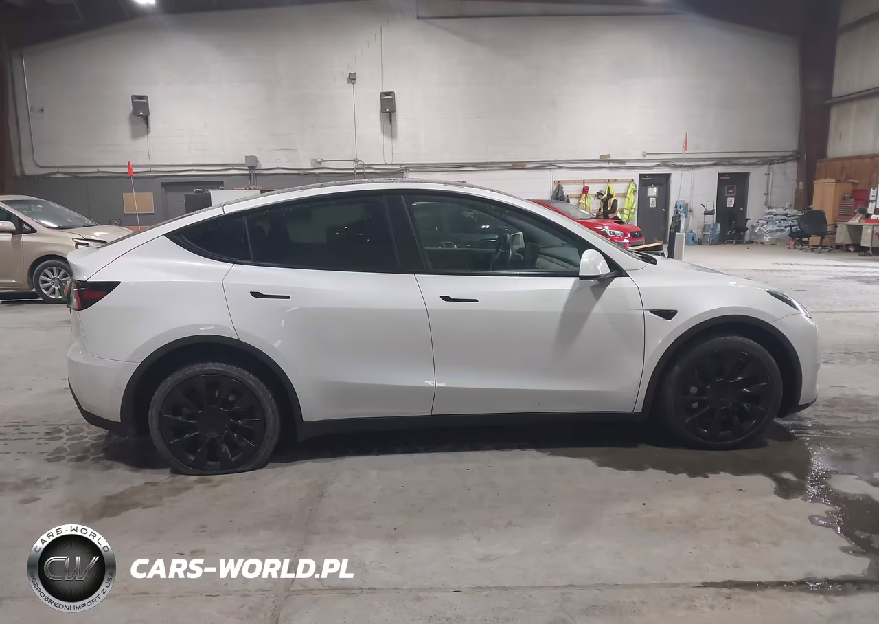 2020 Tesla Model Y Long Range Dual Motor All-Wheel Drive VIN:5YJYGDEE3LF041710 - 13