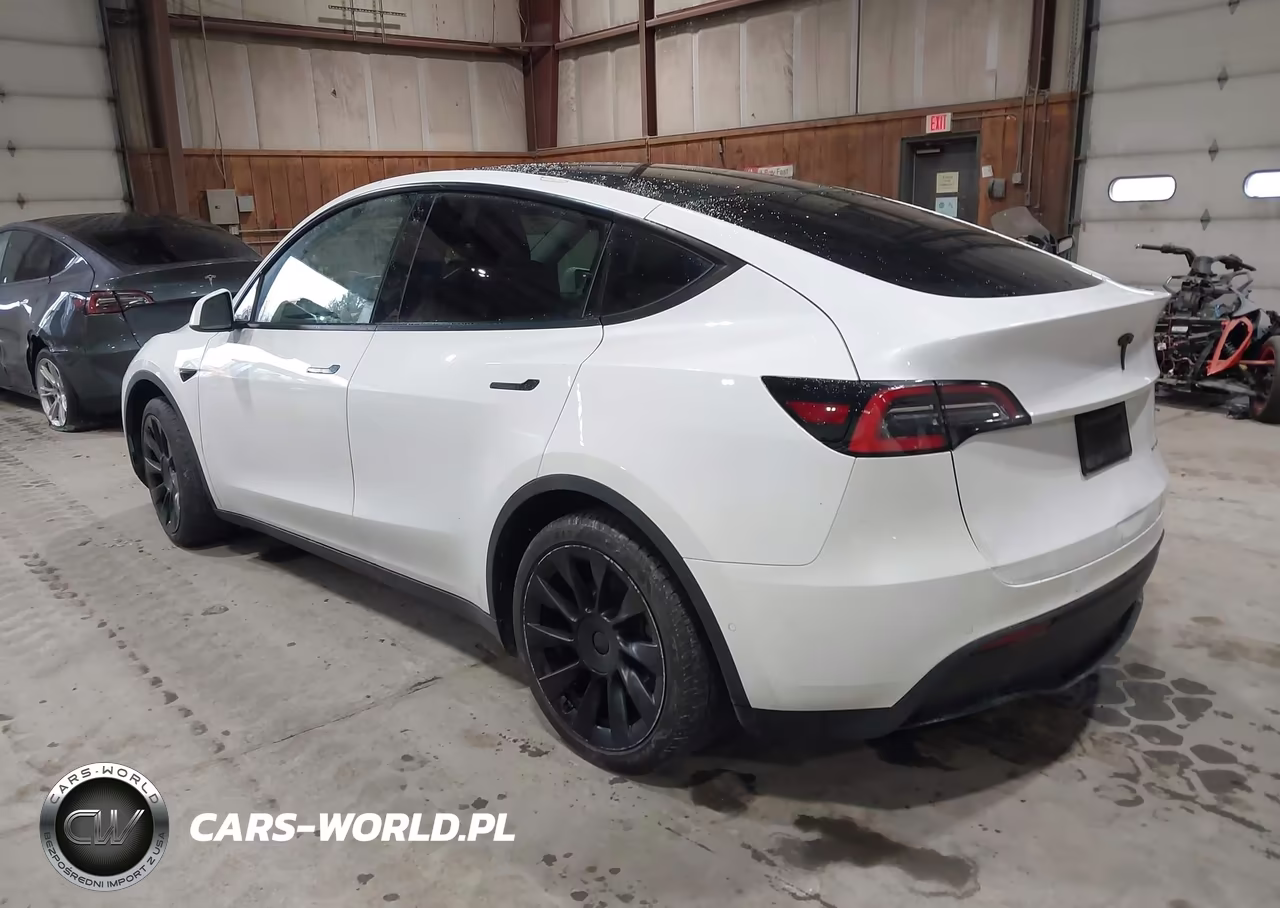 2020 Tesla Model Y Long Range Dual Motor All-Wheel Drive VIN:5YJYGDEE3LF041710 - 3