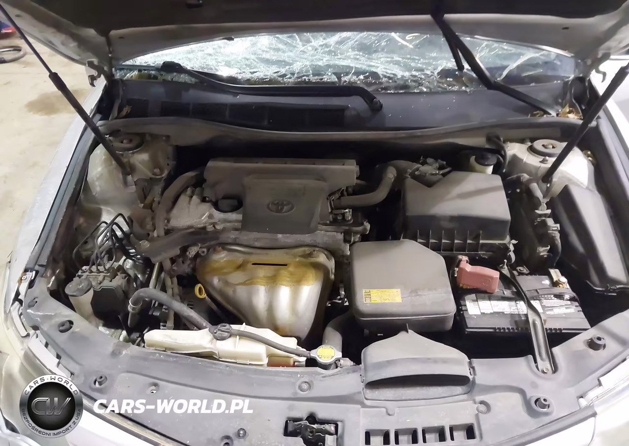 2014 Toyota Camry Se VIN:4T1BF1FK4EU407434 - 10