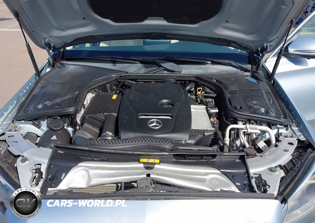 2018 Mercedes-Benz C 300 VIN:55SWF4JB1JU234570 - 10