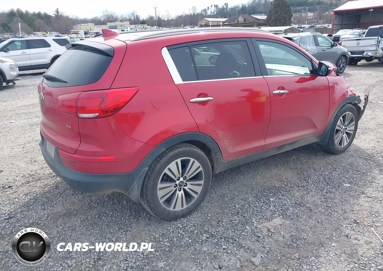 2014 Kia Sportage Ex VIN:KNDPC3AC9E7585949 - 4