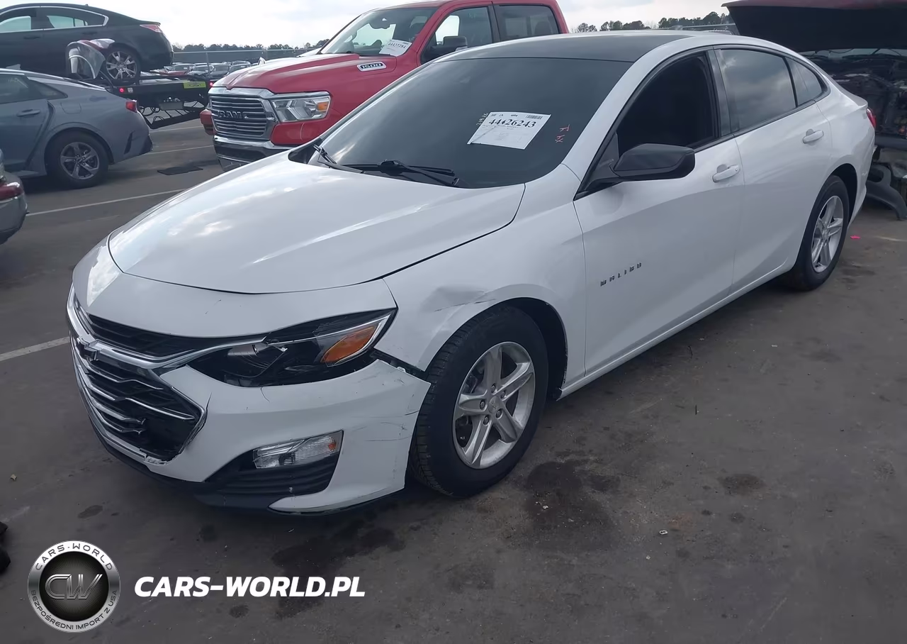 2022 Chevrolet Malibu Fwd 1Fl VIN:1G1ZC5ST4NF151150 - 2