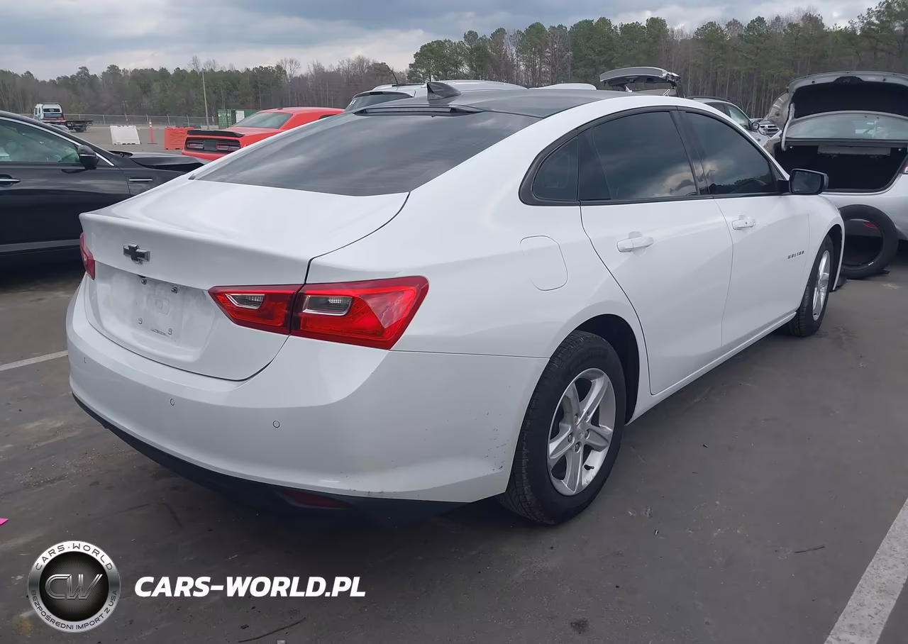 2022 Chevrolet Malibu Fwd 1Fl VIN:1G1ZC5ST4NF151150 - 4