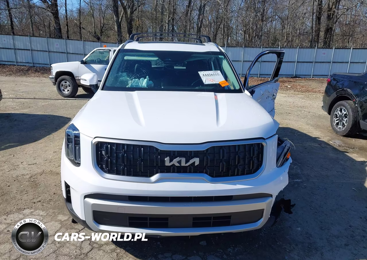 2025 Kia Telluride Ex VIN:5XYP34GCXSG573109 - 12