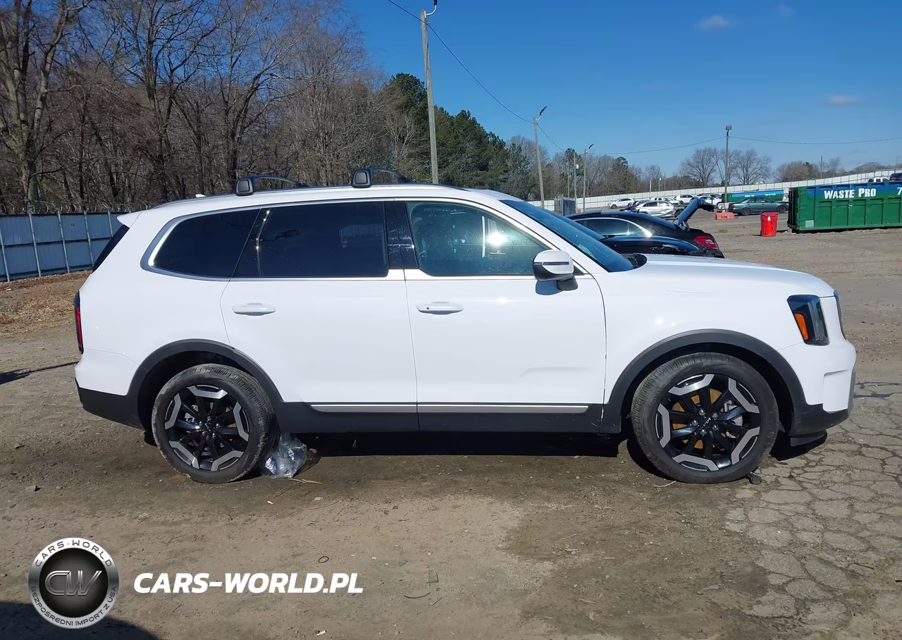 2025 Kia Telluride Ex VIN:5XYP34GCXSG573109 - 13
