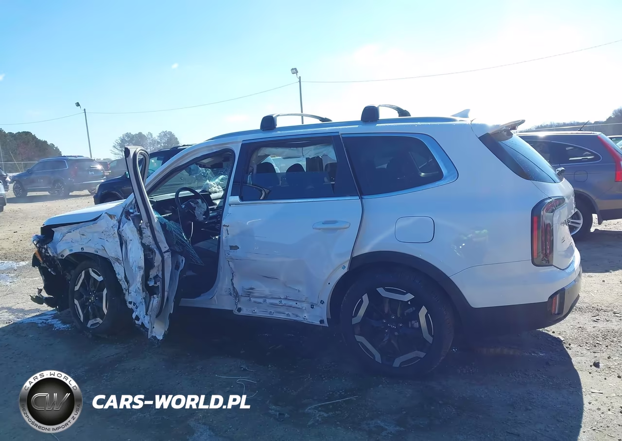 2025 Kia Telluride Ex VIN:5XYP34GCXSG573109 - 14