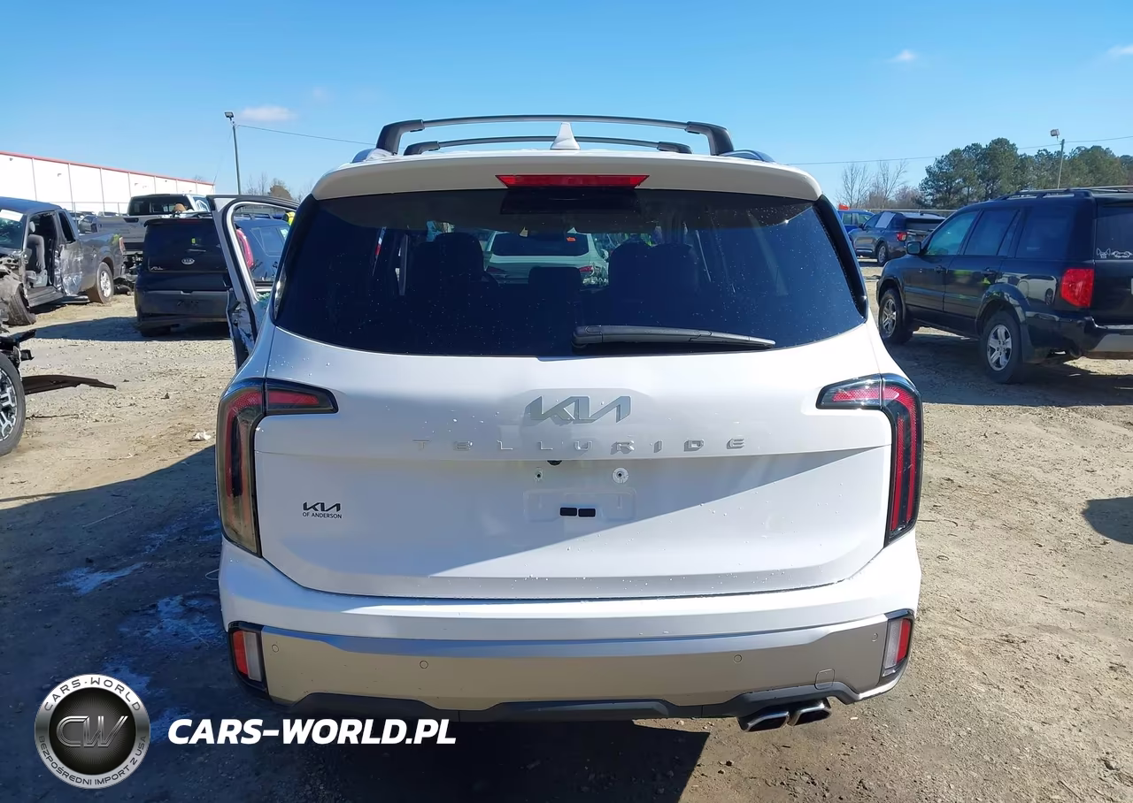 2025 Kia Telluride Ex VIN:5XYP34GCXSG573109 - 16