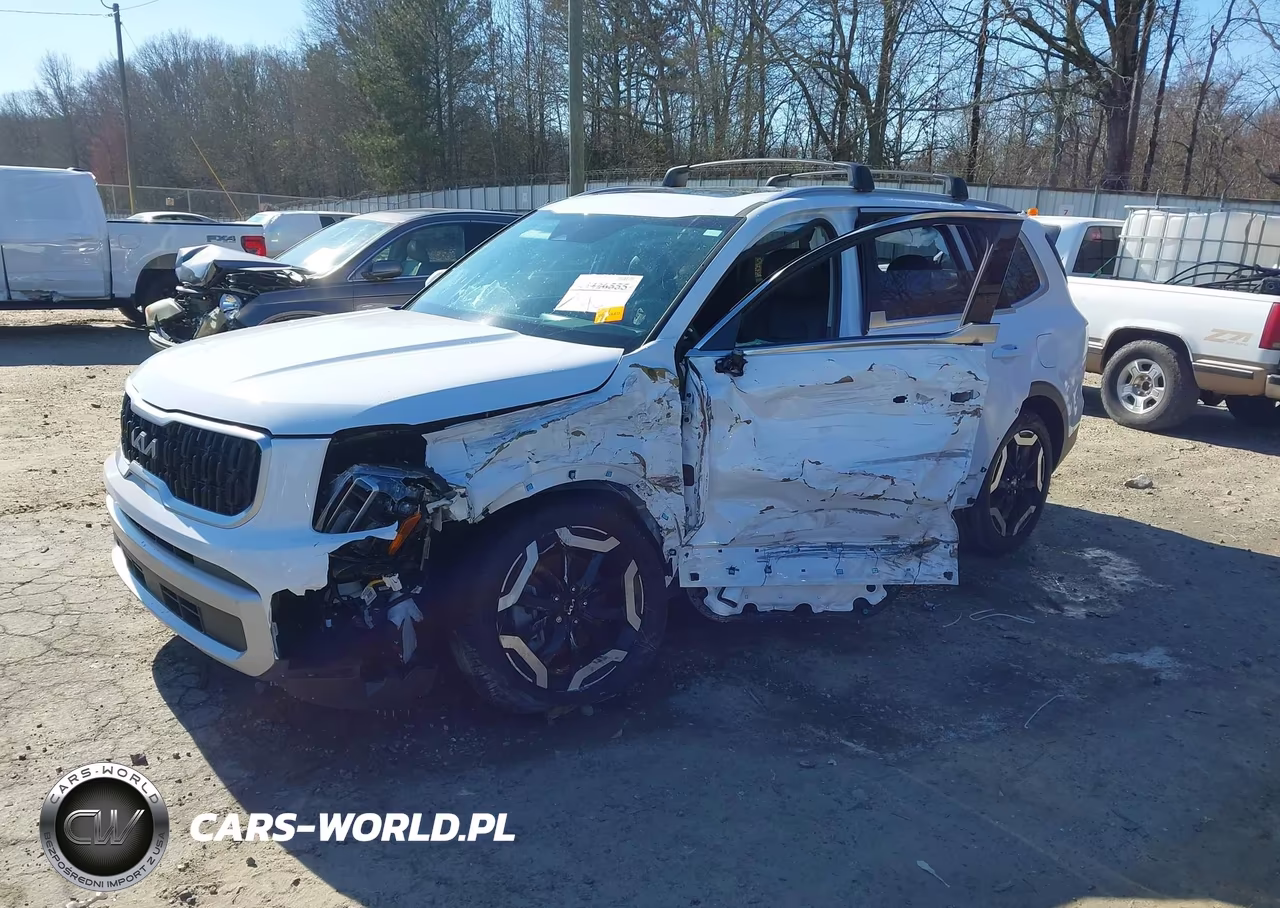 2025 Kia Telluride Ex VIN:5XYP34GCXSG573109 - 2