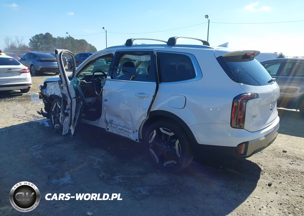 2025 Kia Telluride Ex VIN:5XYP34GCXSG573109 - 3