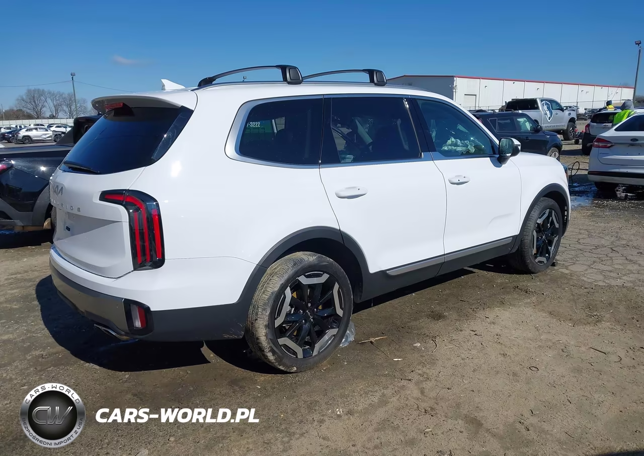 2025 Kia Telluride Ex VIN:5XYP34GCXSG573109 - 4