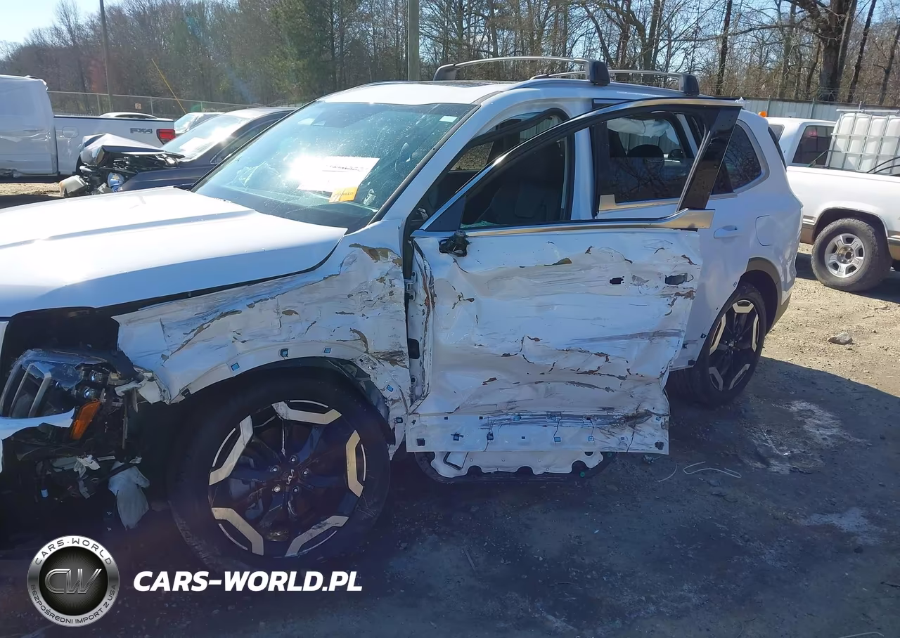 2025 Kia Telluride Ex VIN:5XYP34GCXSG573109 - 6