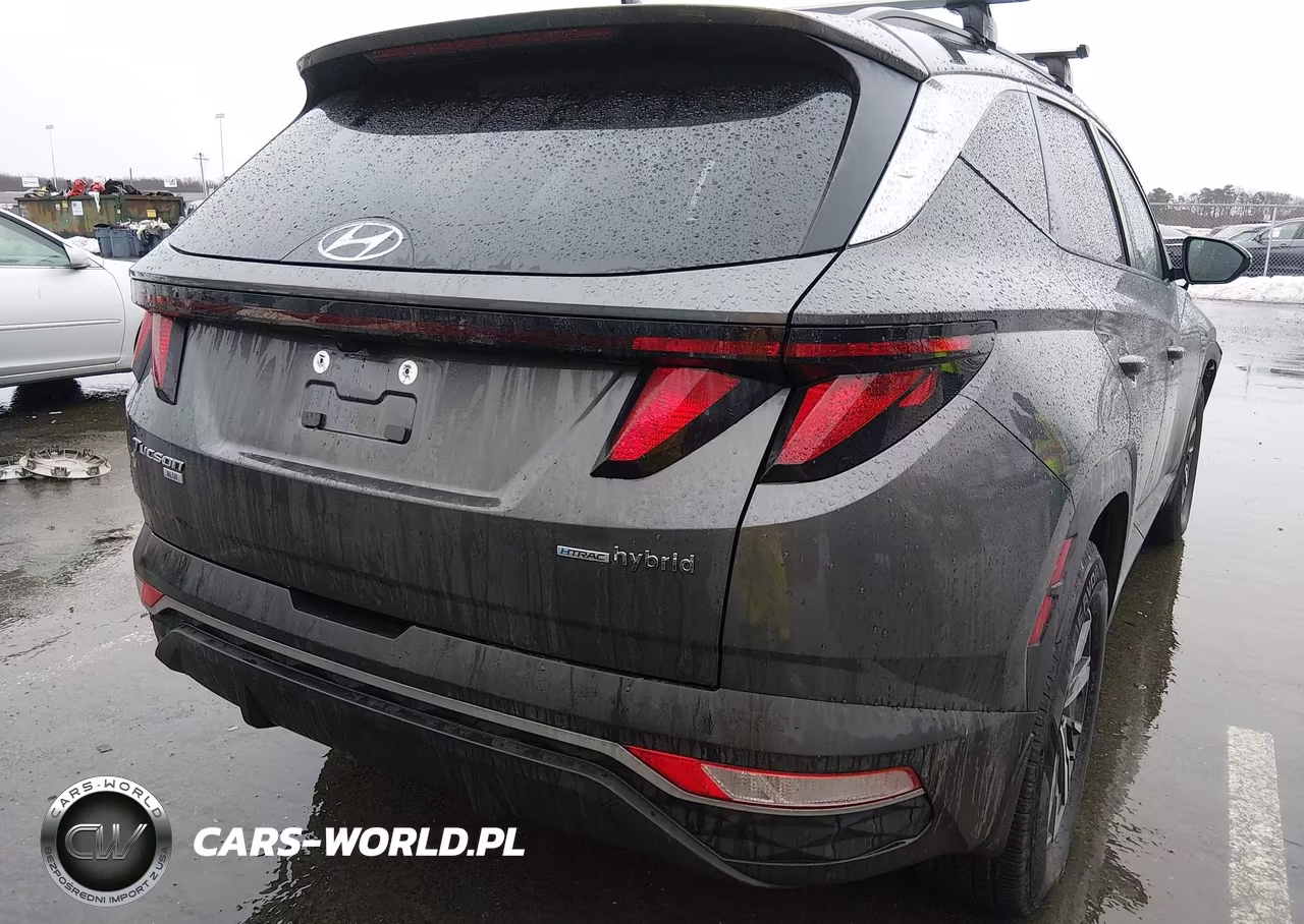 2024 Hyundai Tucson Hybrid Blue VIN:KM8JBCD1XRU206348 - 4