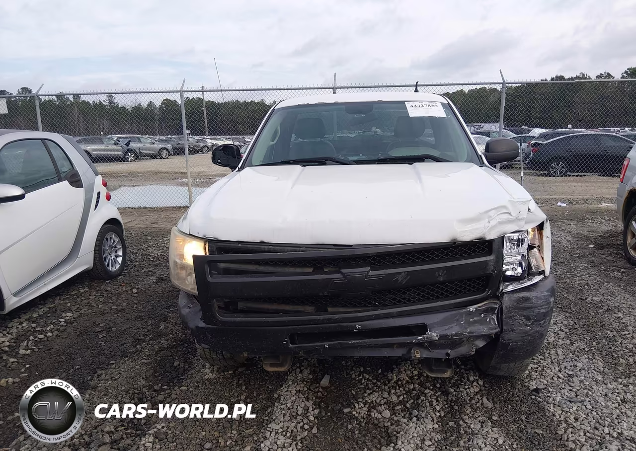 2013 Chevrolet Silverado 1500 Work Truck VIN:1GCNCPEX9DZ185629 - 12