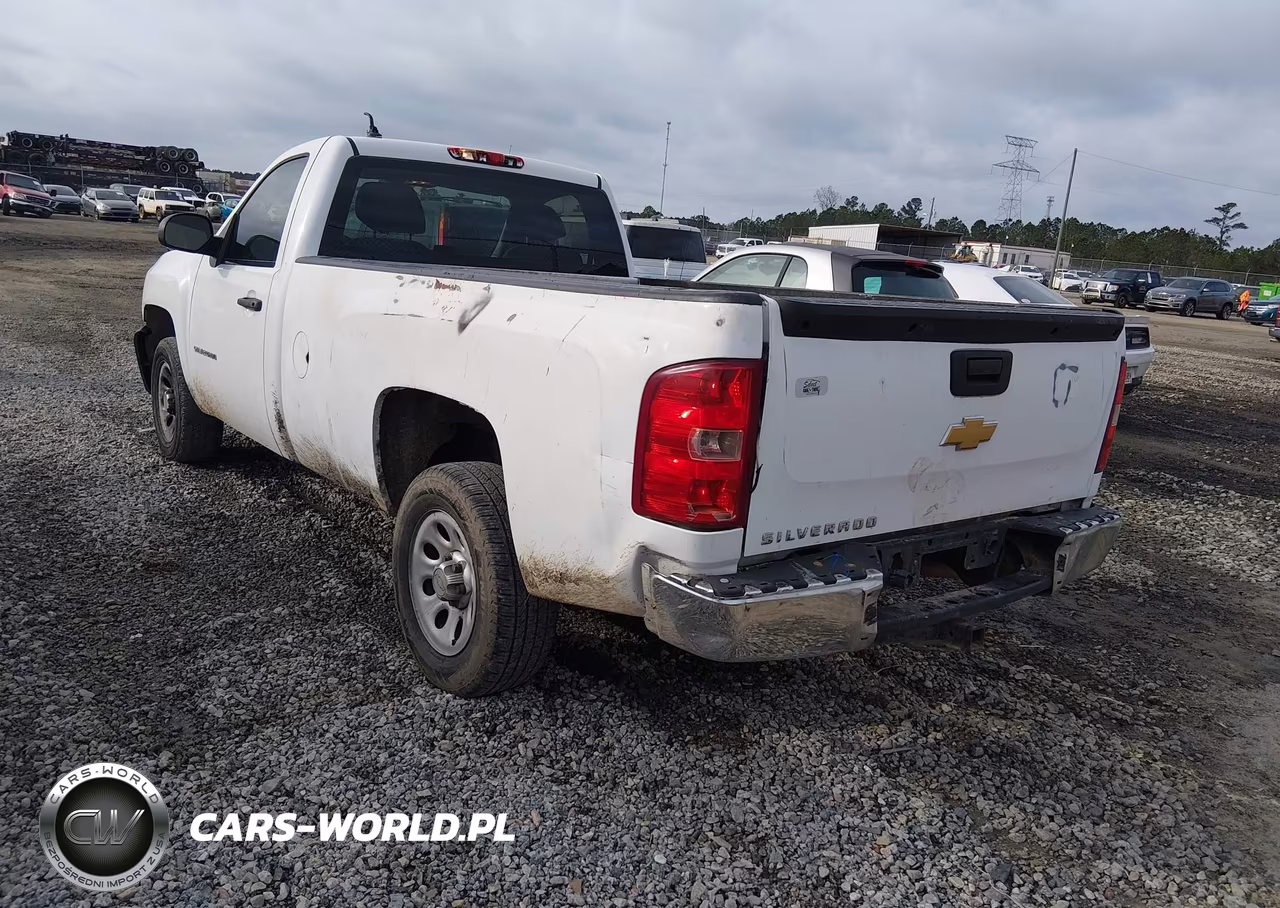 2013 Chevrolet Silverado 1500 Work Truck VIN:1GCNCPEX9DZ185629 - 3