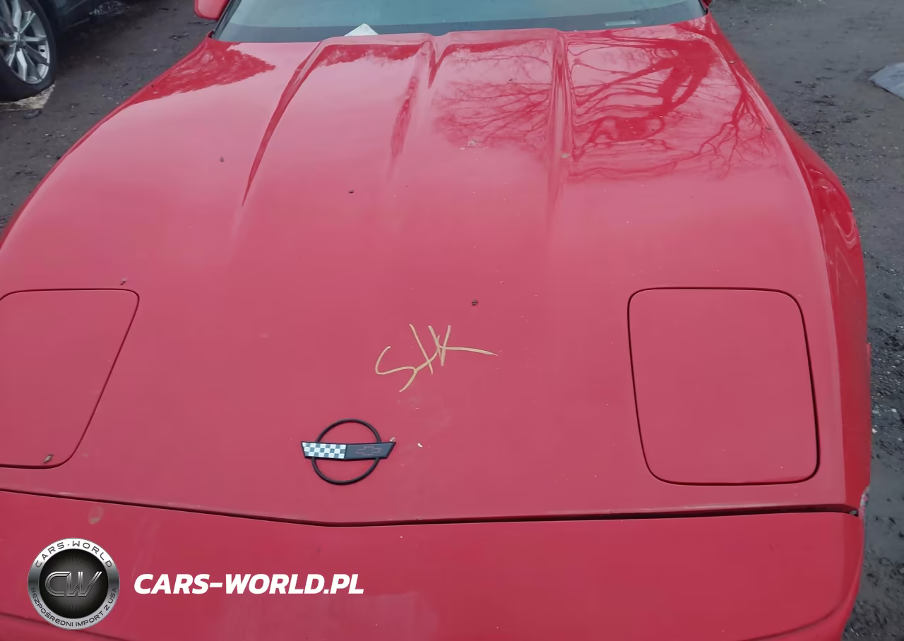 1991 Chevrolet Corvette VIN:1G1YY2383M5103312 - 10