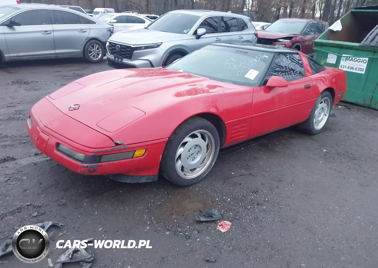 1991 Chevrolet Corvette VIN:1G1YY2383M5103312 - 2