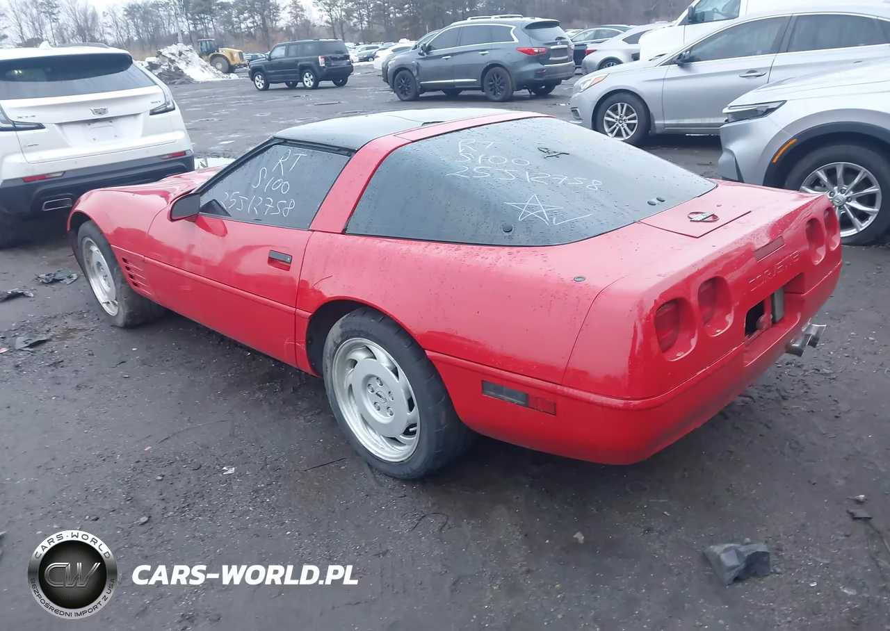 1991 Chevrolet Corvette VIN:1G1YY2383M5103312 - 3