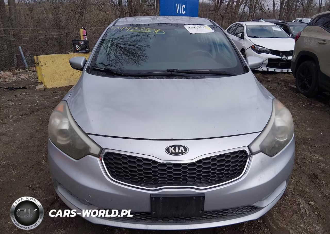 2016 Kia Forte Lx VIN:KNAFK4A61G5439393 - 12
